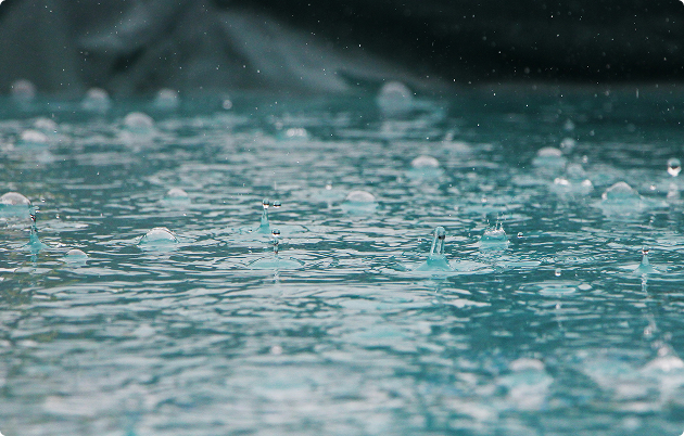 <p>Rainwater recovery initiative</p>
