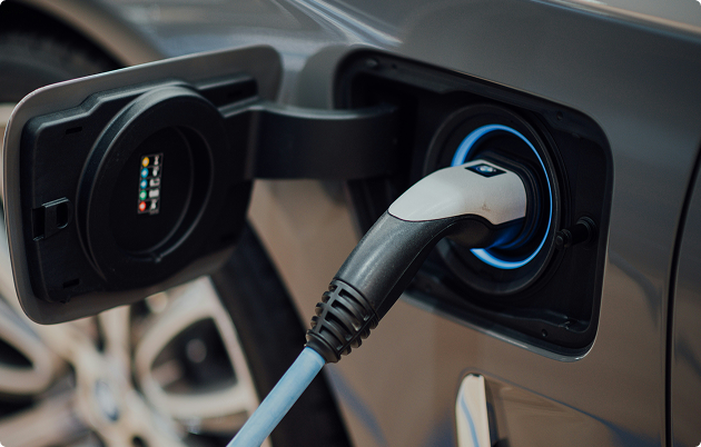 <p>Sustainable travel</p>
