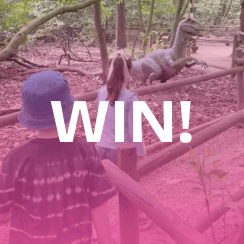 WIN the ultimate family weekend in Norfolk!